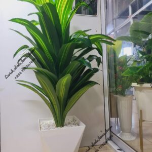 Faux Artificial Snake Plant in Glass Vase – Decorative Indoor Plant Kenya
