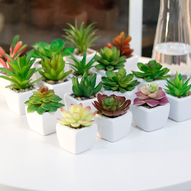 Artificial Succulent Bonsai Plant Kenya – Decorative Faux Mini Tree with Vase and Flower Pot