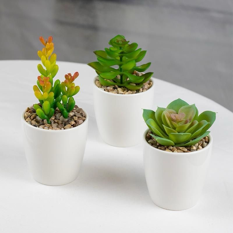 Artificial Succulent Bonsai Plant Kenya – Decorative Faux Mini Tree with Vase and Flower Pot - Image 2