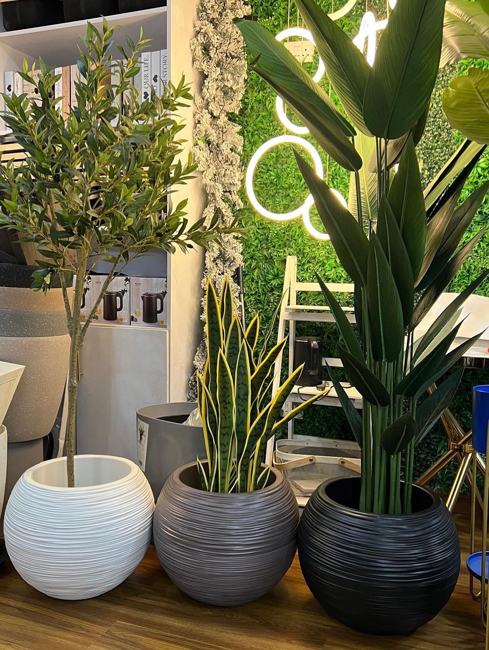 Premium minimalist design flower planters
Size :50cm x 50cm