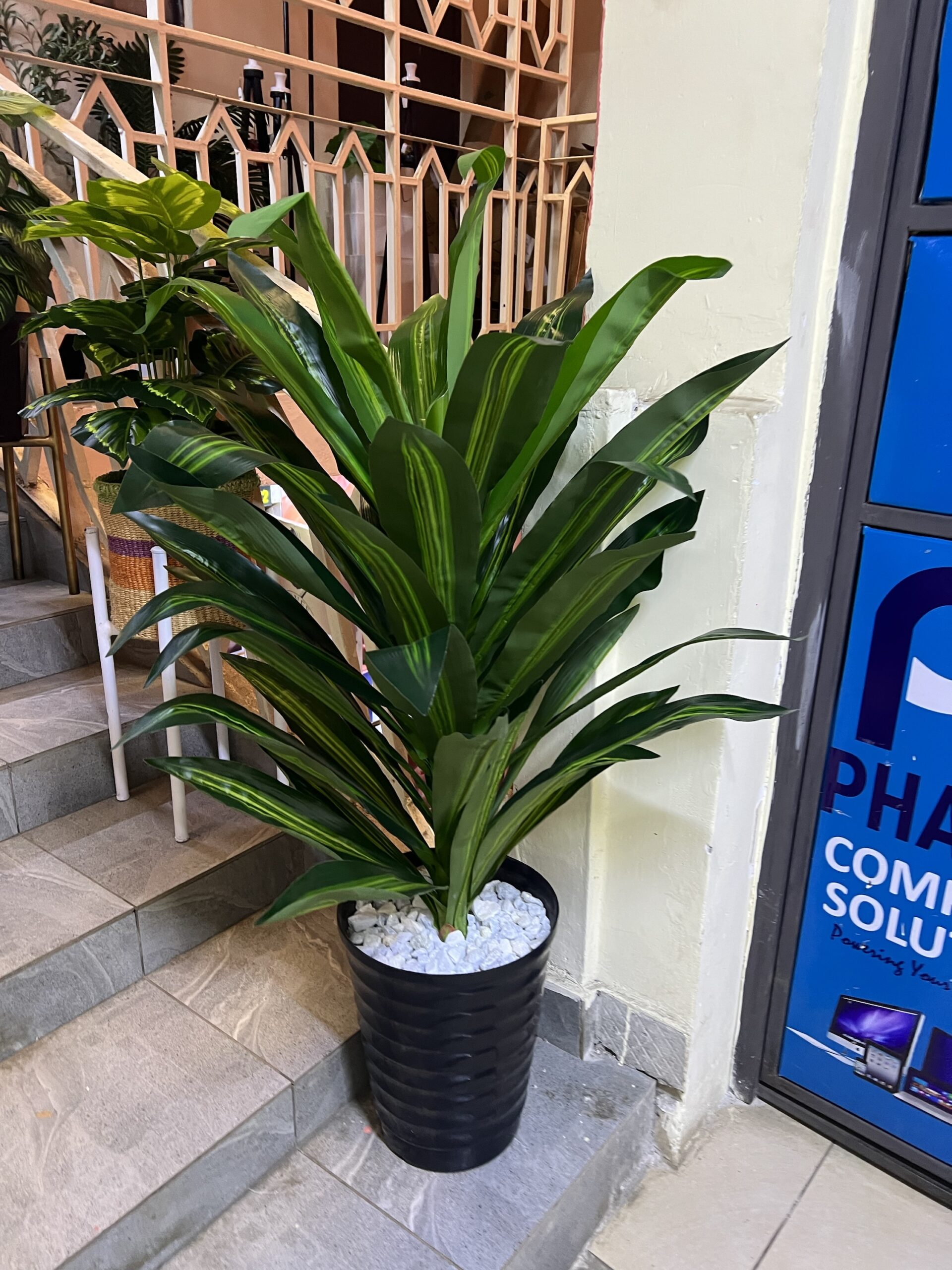 Artificial Dracaena Grass Plant - 130cm Decorative Flower Fake Yucca Tree Plant, Home Office Floor Room Decor Plants Indoor Outdoor, Housewarming Gift - Image 2