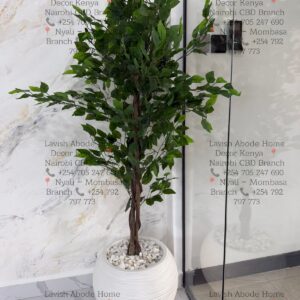 Artificial Jade Ficus Plant With Pot 160cm Realistic Plants Trees Flowers Indoor Tropical Home Shop -Office Gifting Décor Ambience Durable No Maintenance